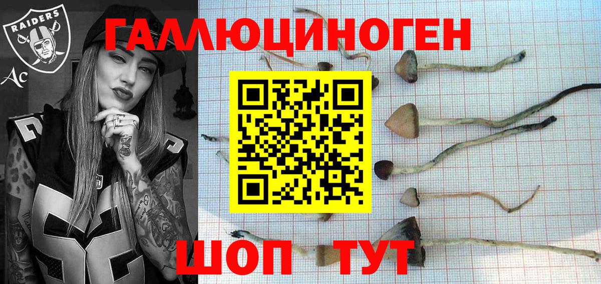 Псилоцибиновые грибы прущие грибы  Галлюциногенные грибы мухоморы  Вход с VPN  Белгород 