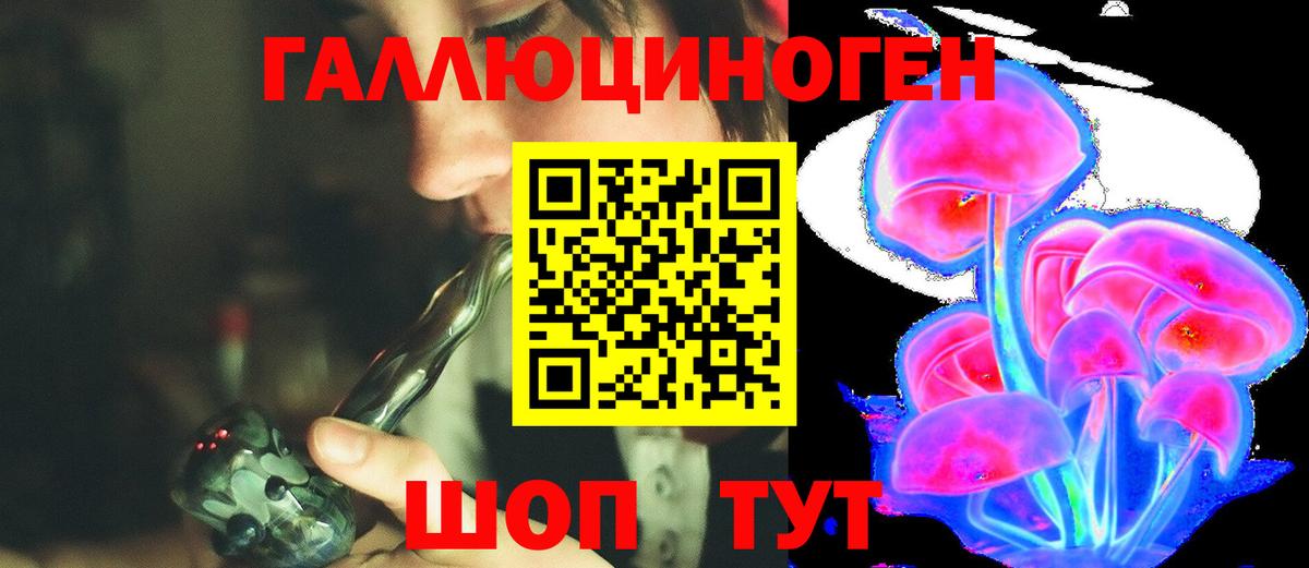 Галлюциногенные грибы Psilocybine cubensis Белгород